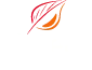 Biotech UI/UX